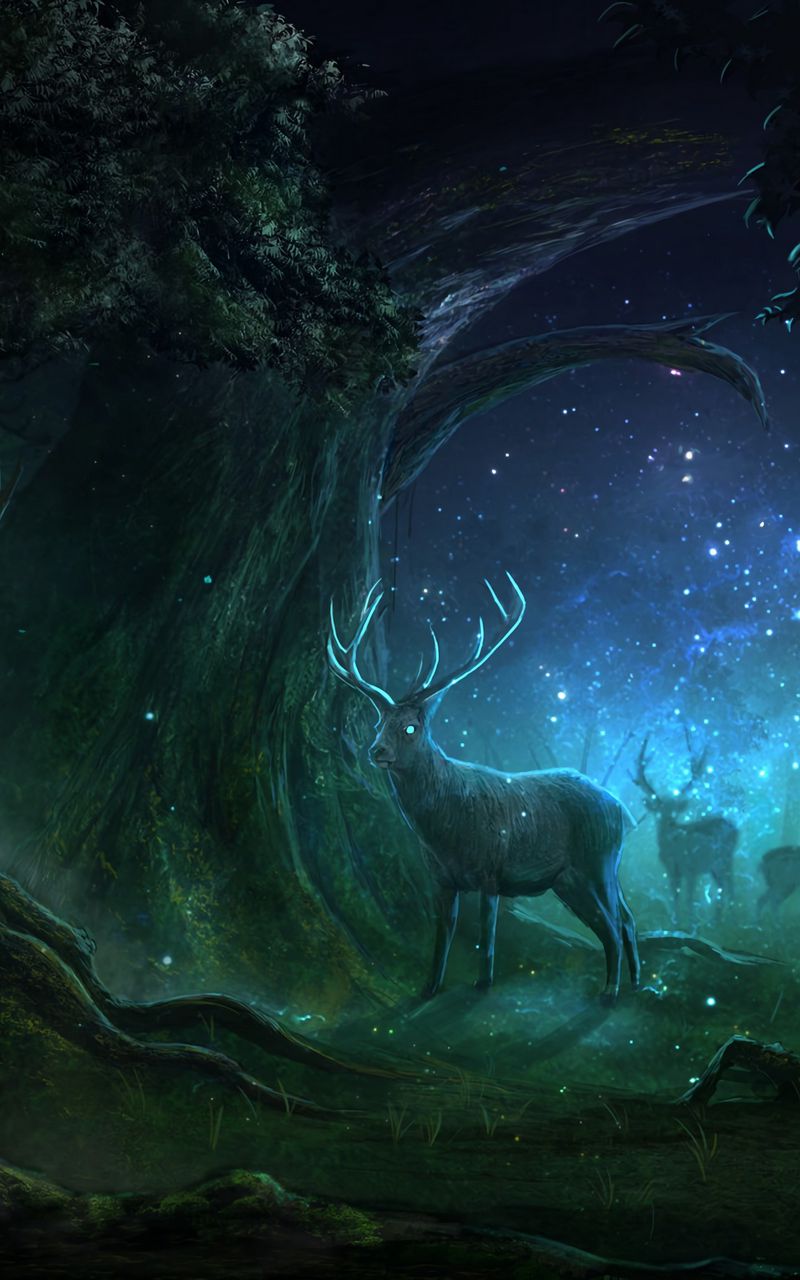 800x1280  Скачать обои 800x1280 оленя, лес, ночь, свет, магический Samsung Galaxy Note GT-N7000, Meizu MX2 HD фоновая