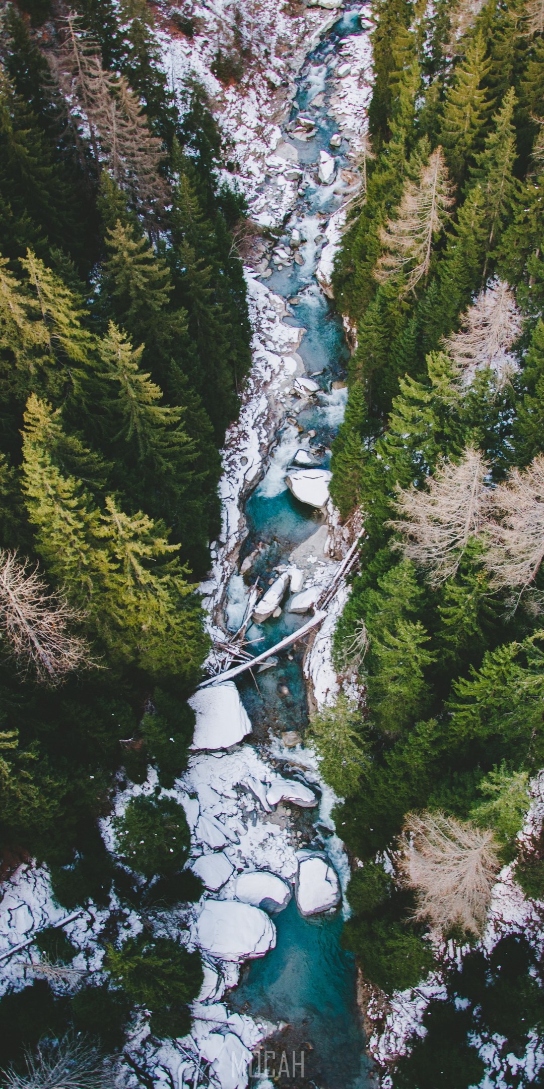 1080x2160  281030 Речные дерево леса и леса HD, Zte Nubia Red Magic Mars Скачать обои, 1080x2160 - Редкая галерея HD Wallpapers