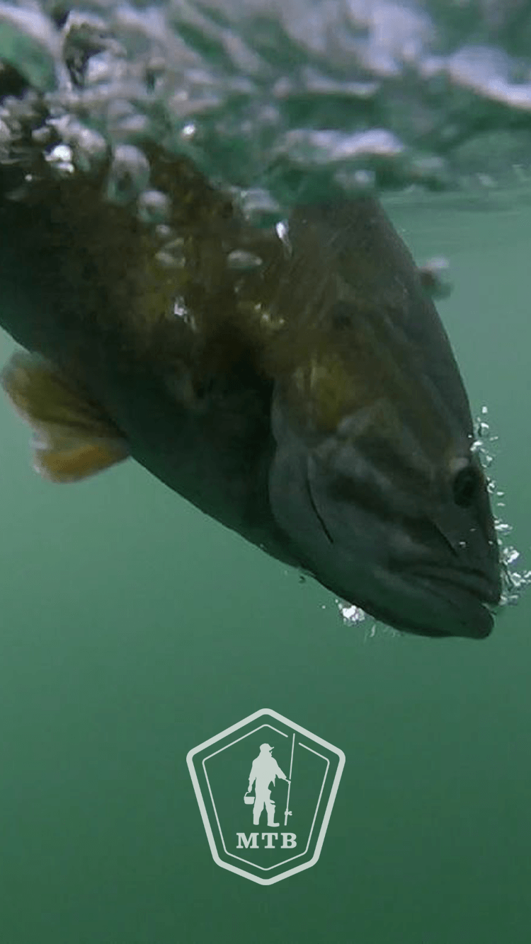 750x1334  Bass Fishing Pikes Tackle Mobile Resolutions - Fishing Wallpaper Android - 750x1334 - Скачать HD обои - WallpaperTip