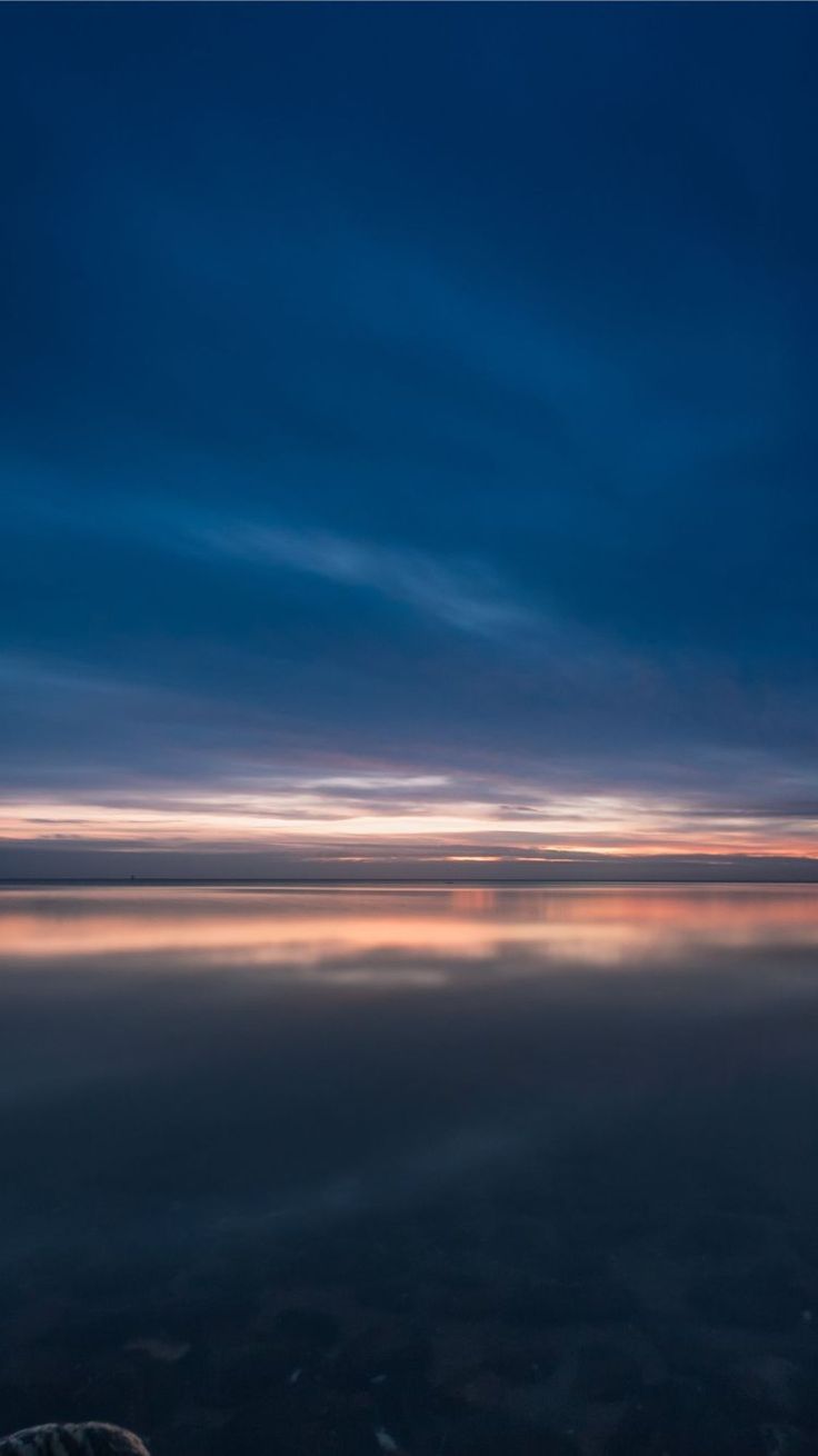 736x1310  Fish Wallpapers : Скачать бесплатно HD [500+ HQ] | Unsplash