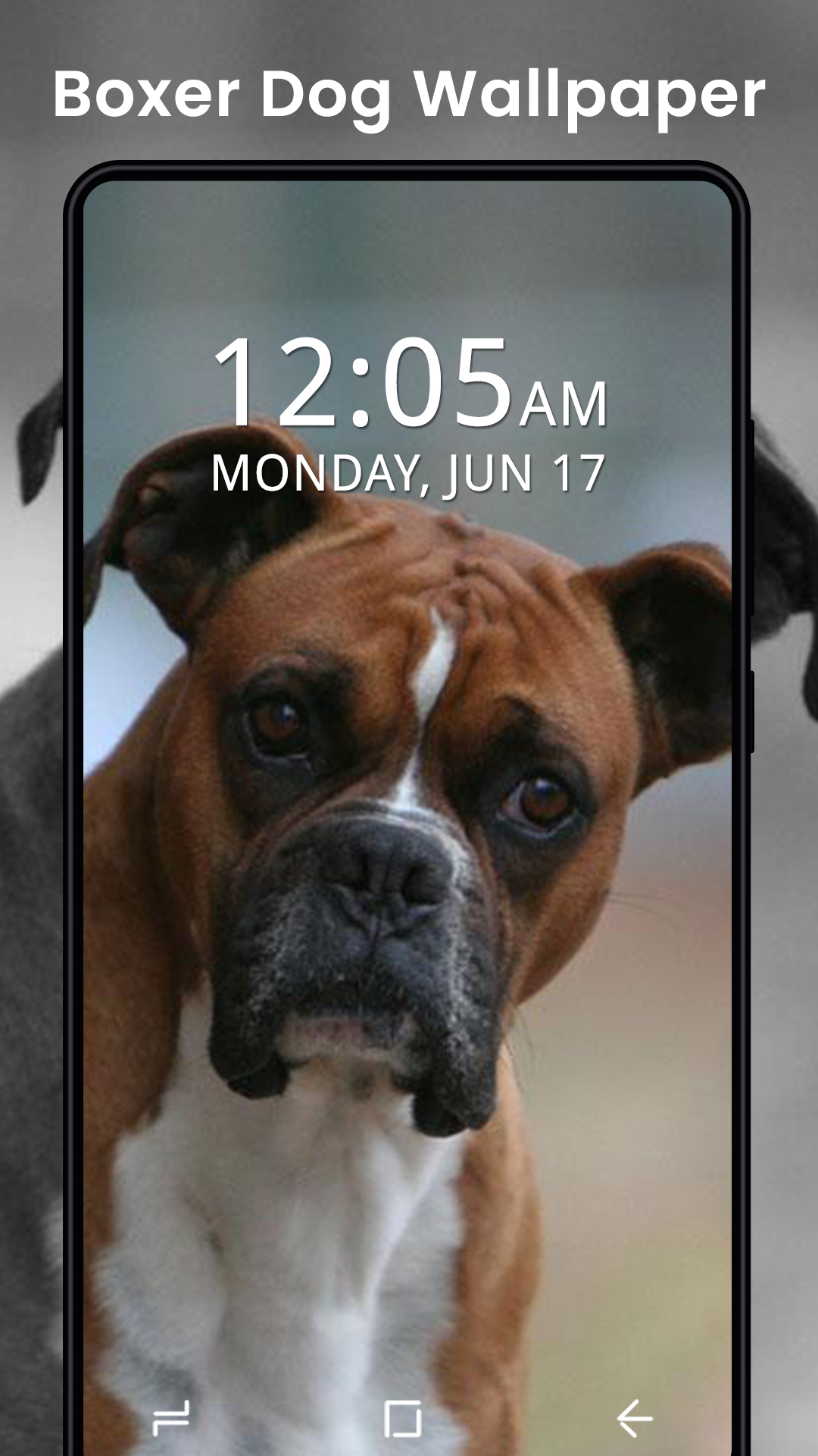 1080x1920  20 бесплатных обоев с собаками для телефонов и Android. 20 HD-обои для рабочего стола с изображениями собак. в 2020 году | Обои с собаками Фон с собаками Картинки с собаками