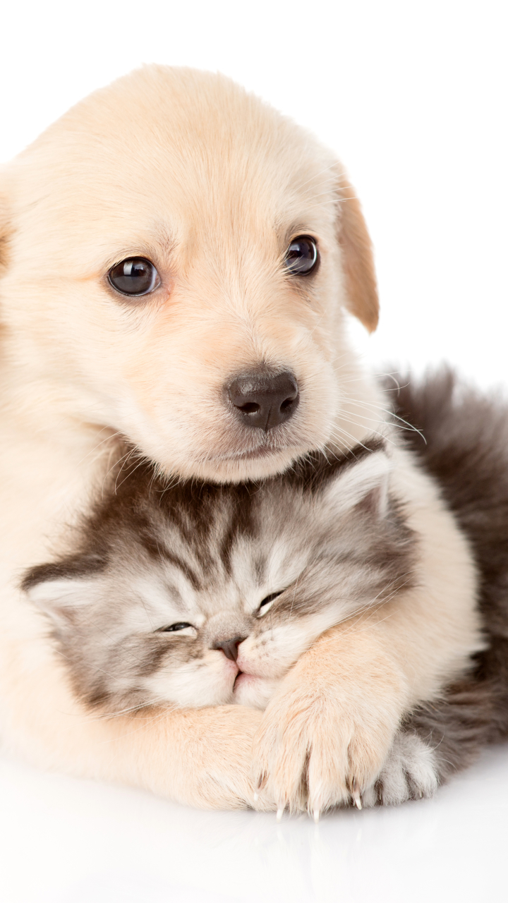 720x1280  Watch, опубликованные Райаном Уокером 