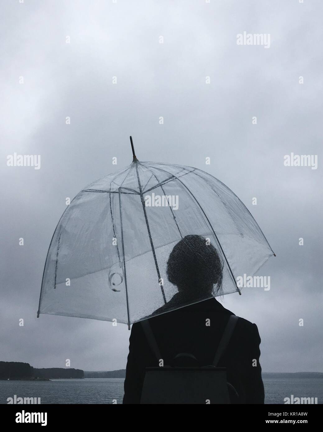 1039x1390  351 Long Live Belarus Images, Stock Photos \ U0026 Vectors | Shutterstock