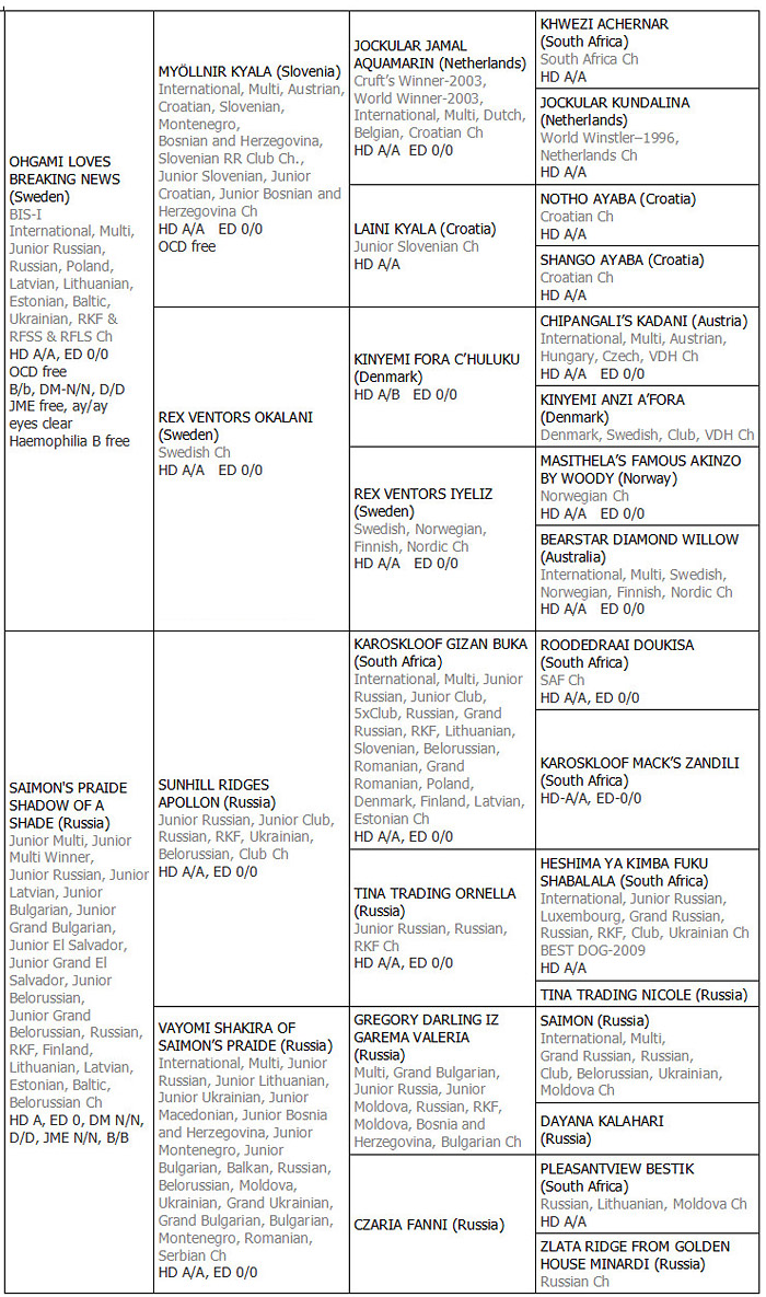 700x1185  Belarus Brides: Ultimate Secrets и Guide Guide к Belarus Women - Top 10 Ranker