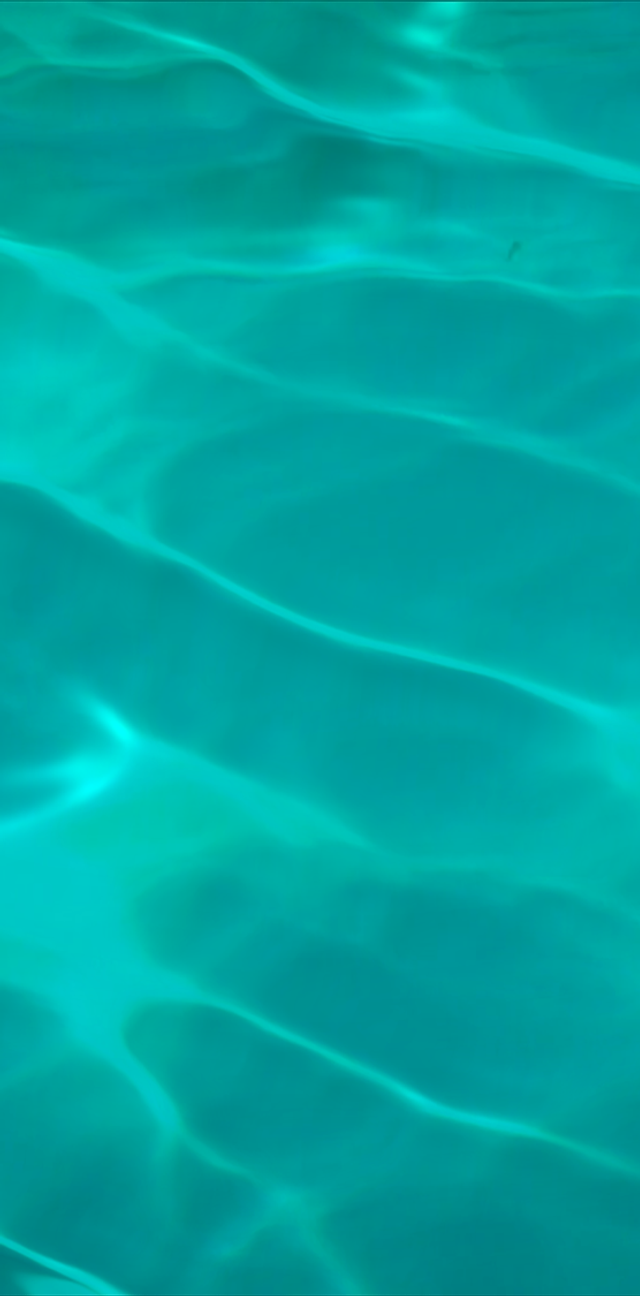 640x1296  Красивые французские девушки из паддока в Le Mans 2014 - Autoevolution