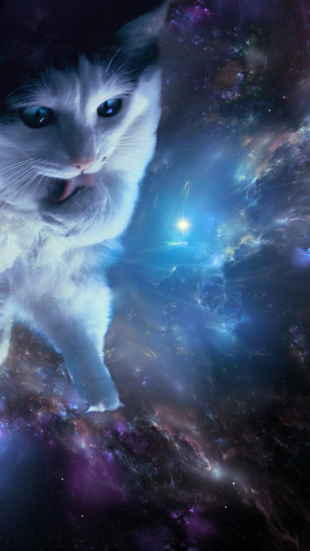 Space animals. Космический кот. Котик в космосе. Красивый космический кот. Красивые космические коты.