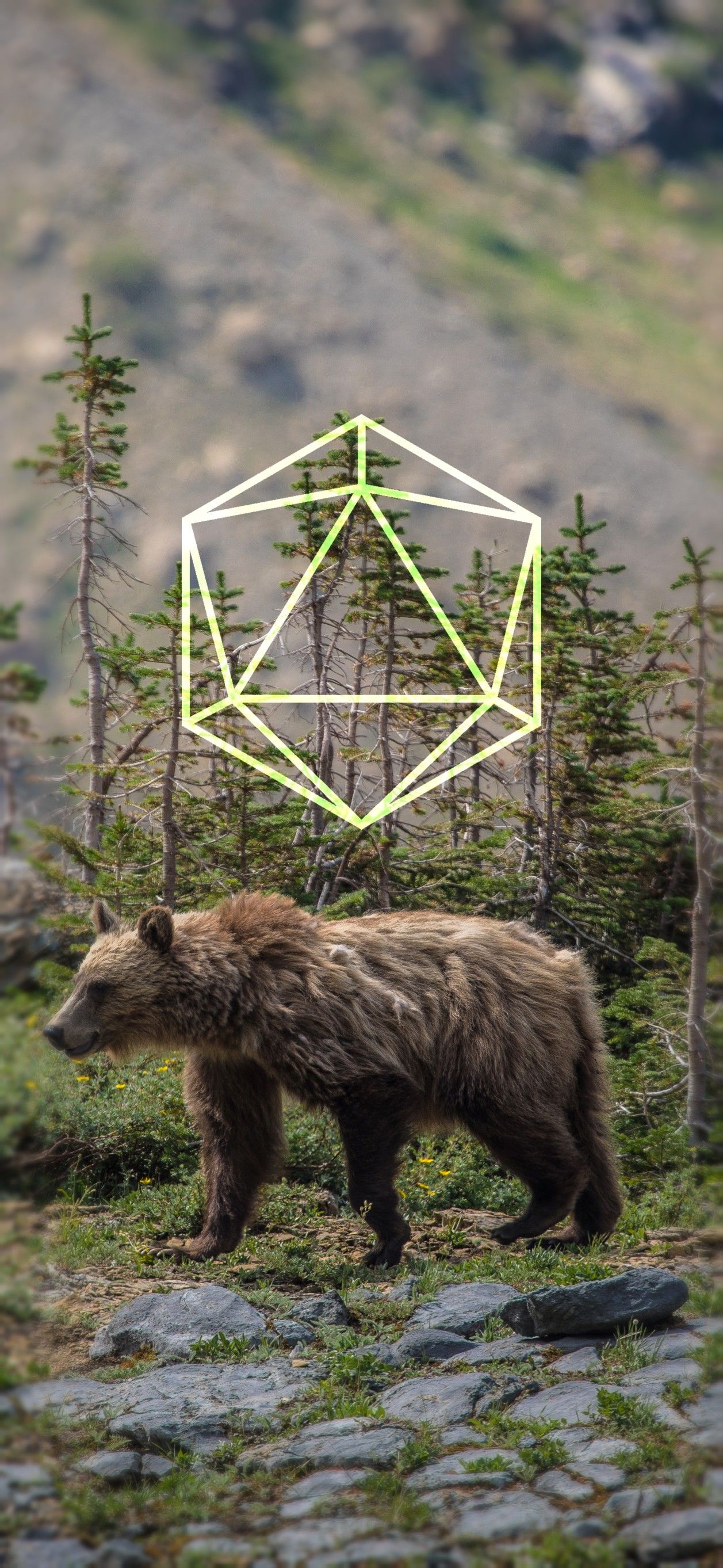 1257x2725 ODESZA обои | Odesza Grizzly bear Wallpaper