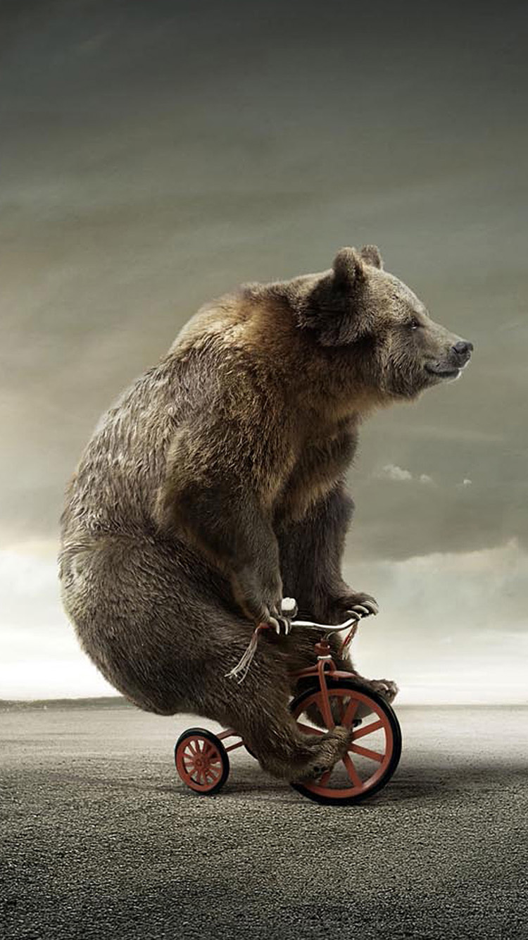 750x1334 Tricycle Bear Скачать бесплатно обои для телефона