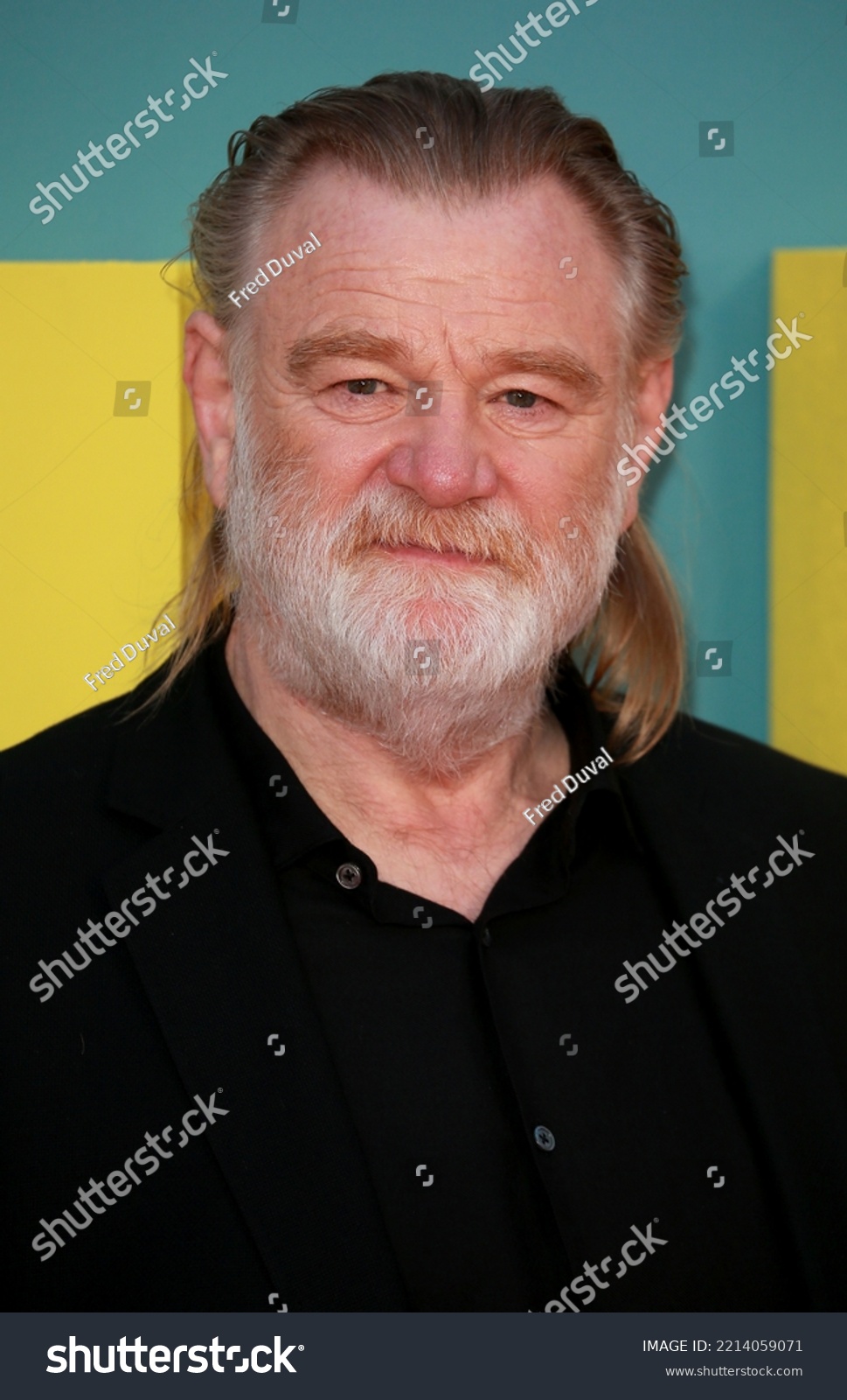 969x1600  Гарри Поттер и Орден Феникса - Фото Брендана Глисона (39565879) - FanPop