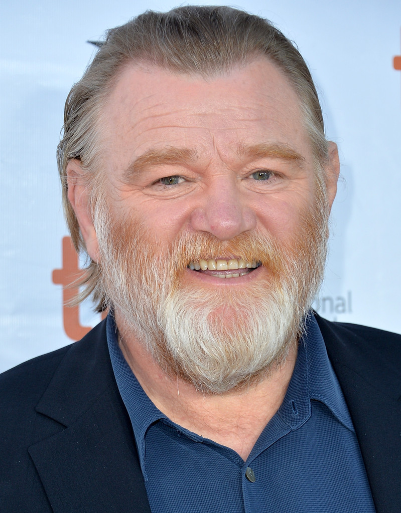 799x1024  186 Брендан Глисон Стоковые Фото