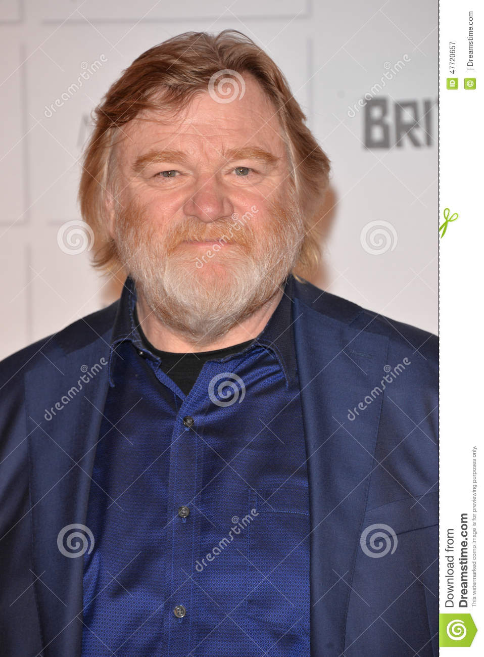 958x1300  Брендан Глисон Билдер, плакат \ U0026 Fotos | MoviePilot.de