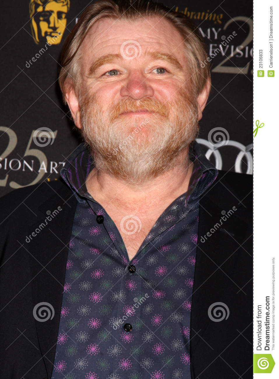 957x1300  Брендан Глисон 图像 尺寸 Событие 的 Безопасный дом 大 图片 从 从 pooh6 |照片 图像 图像