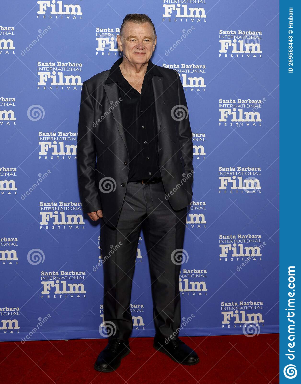 1256x1600  Брендан Глисон - изображения профиля - база данных фильмов (TMDB)