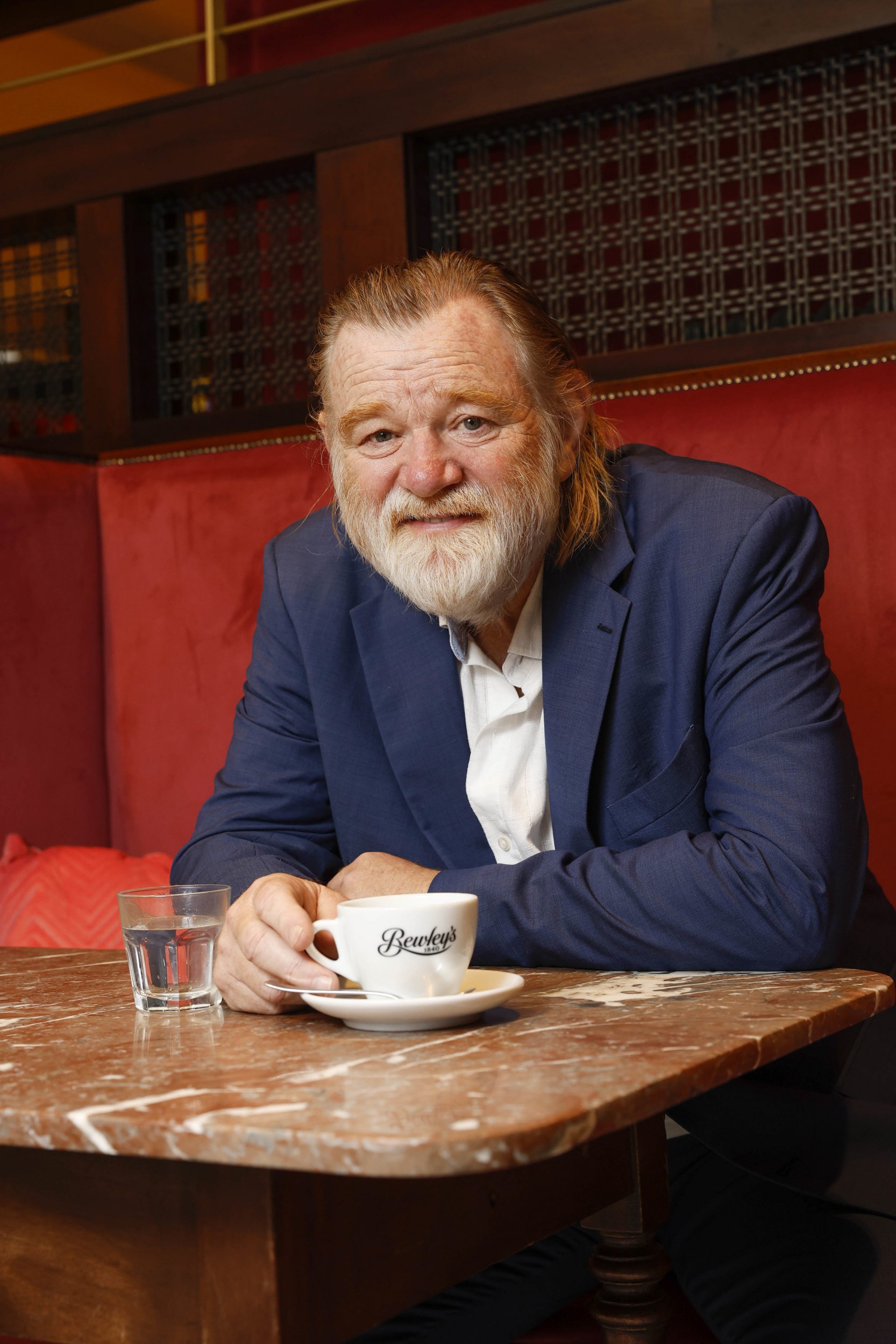 1666x2500  Bear Brendan Gleeson England Hugh Bonneville Hugh Grant, Sally Hawkins HD обои | Pxfuel