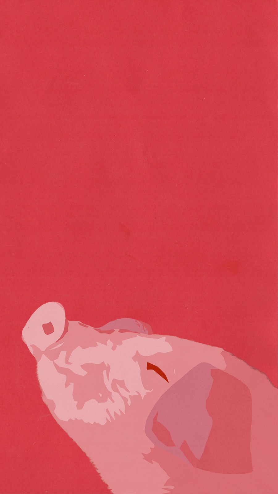 900x1600  Pig Wallpaper Phone Versions