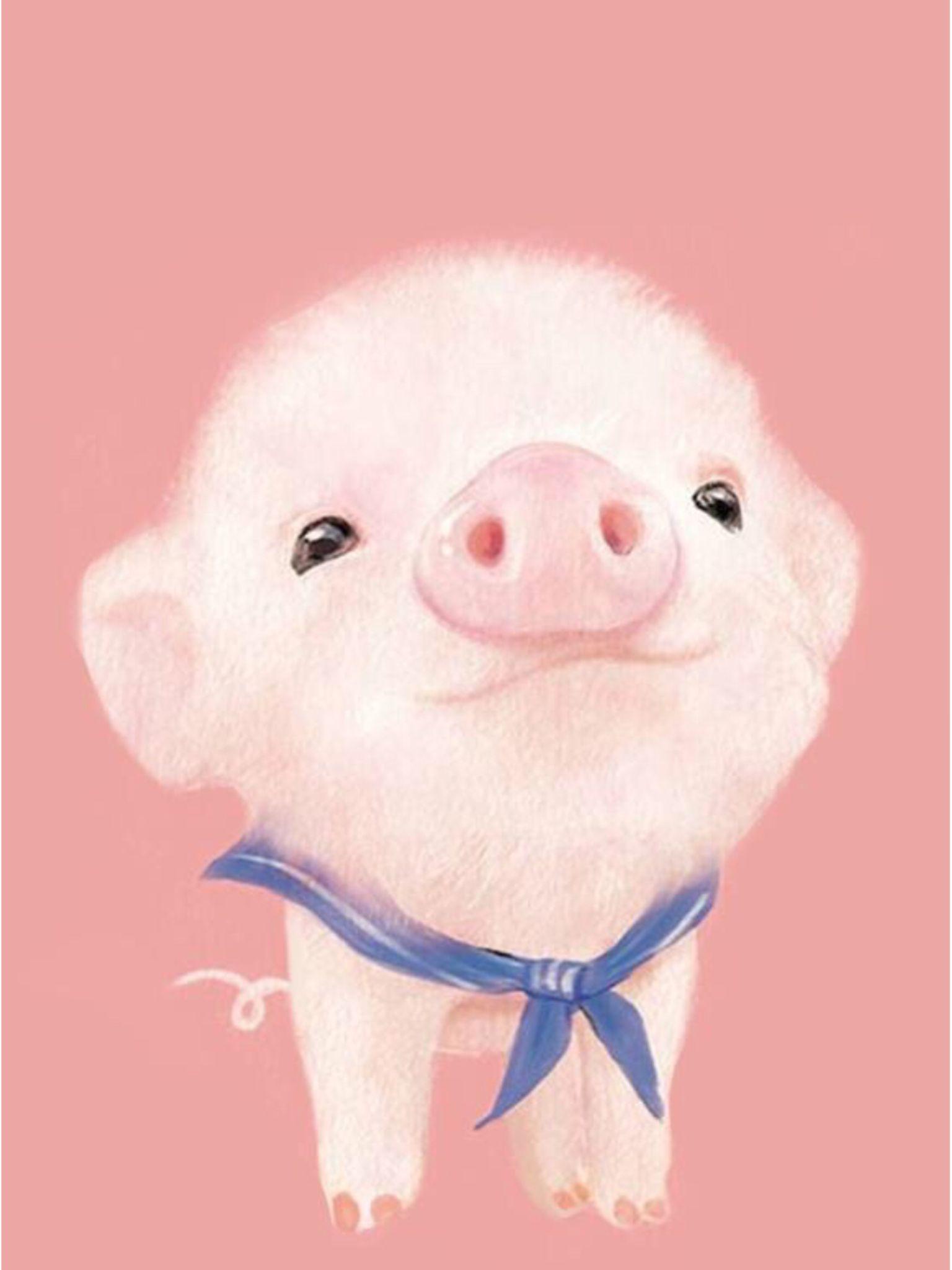 1536x2048  Piggy Wallpapers - Лучшие бесплатные фоны Piggy - WallpaperAccess