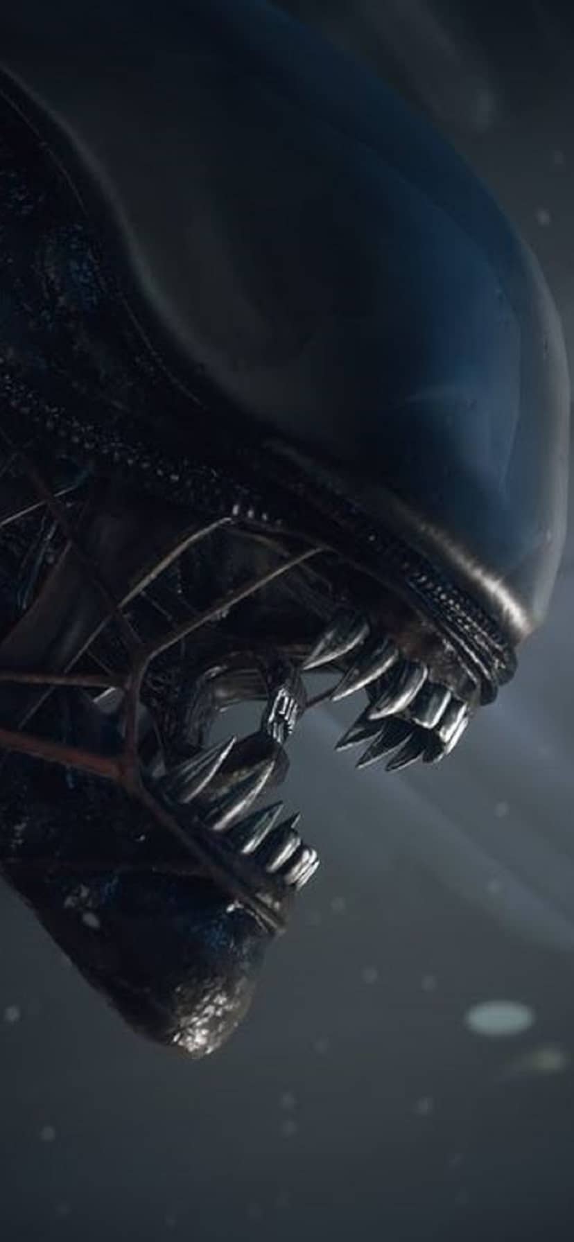 828x1792  Ридли Скотт Марсианский HD Телефон Обои | Pxfuel