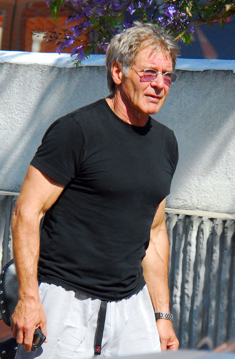 800x1223  1994 Harrison Ford Hi -Res Stock Photography и Images - Alamy