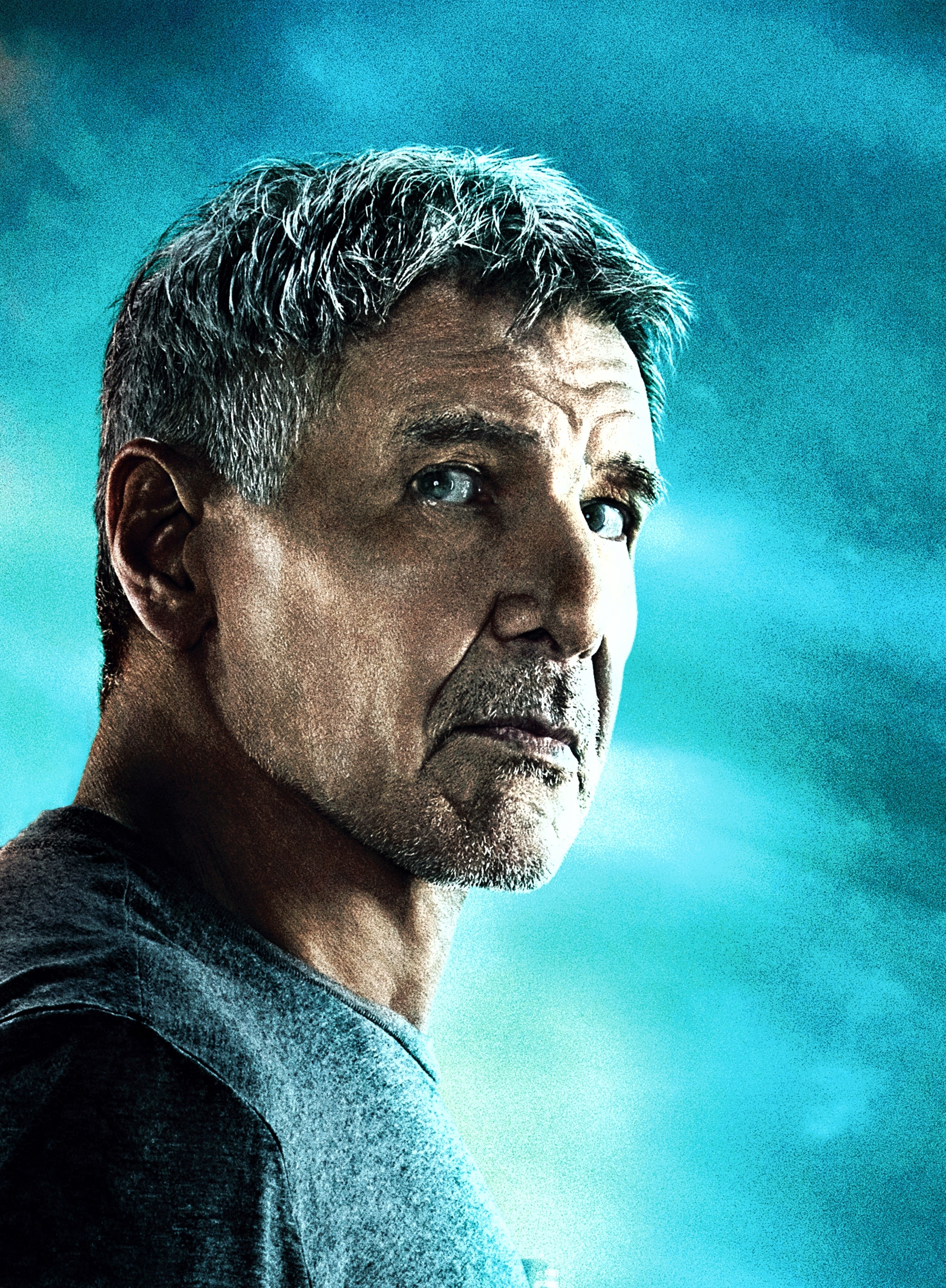 2575x3504  Харрисон Форд | Харрисон Форд, Актрис, Форд