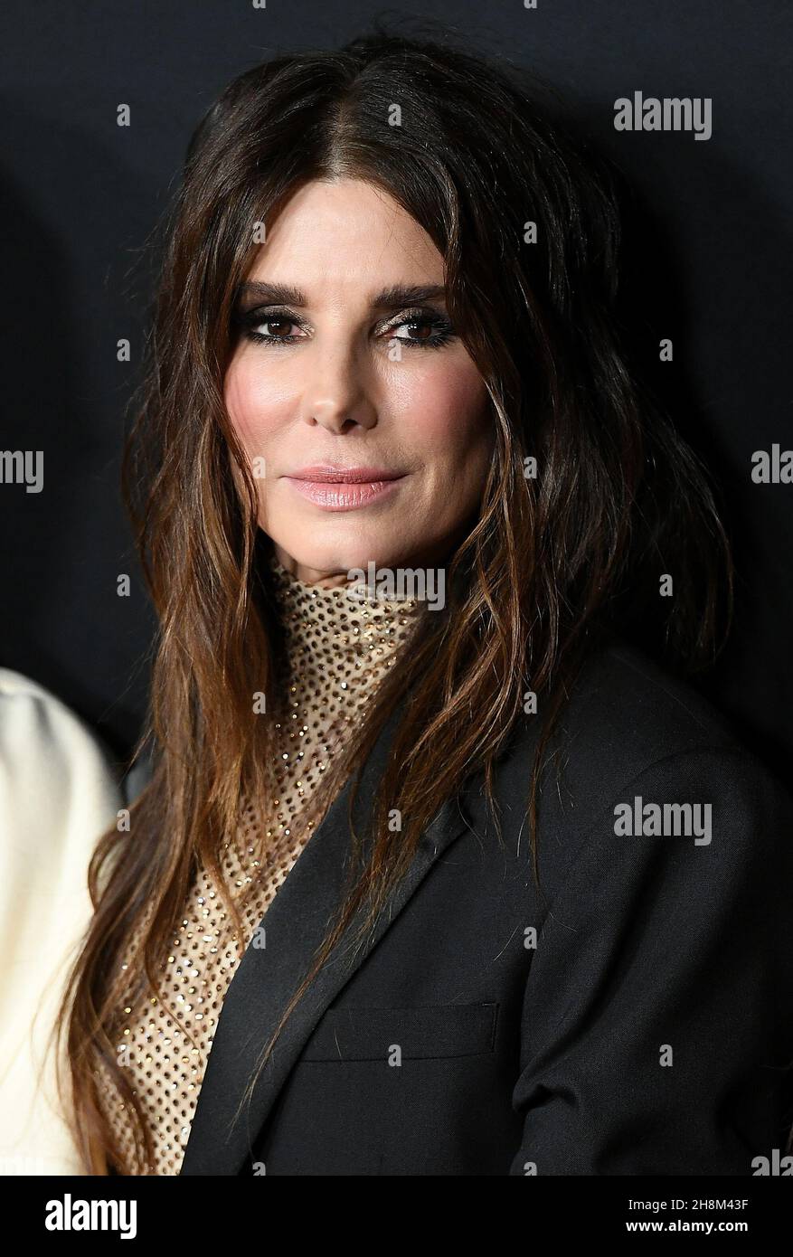 877x1390  Сандра Баллок Красная Коврея Фотографии из Пальт -Спрингс -Фестиваль Гала награды (2014) • Celebmafia