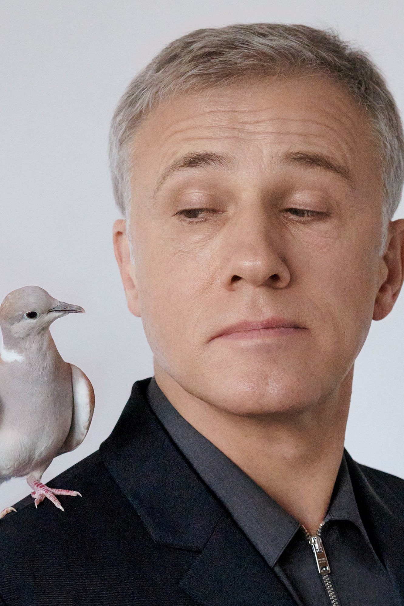 1331x1997  Кристоф Вальц на Брексите, Тарантино и работа с BMW | Британский GQ