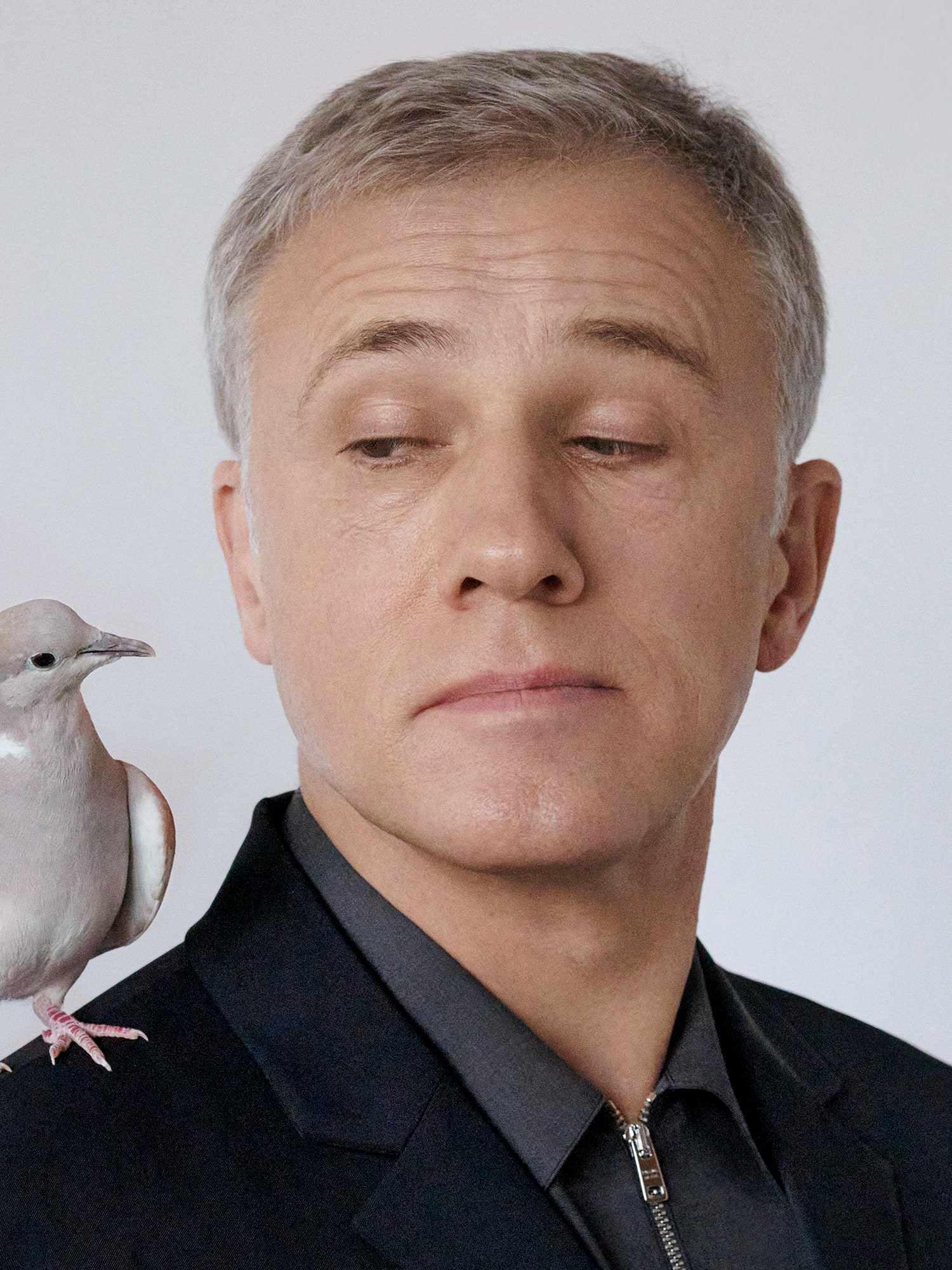 1500x2000  Кристоф Вальтц редакция Сток -Фото. Изображение моды - 73617173