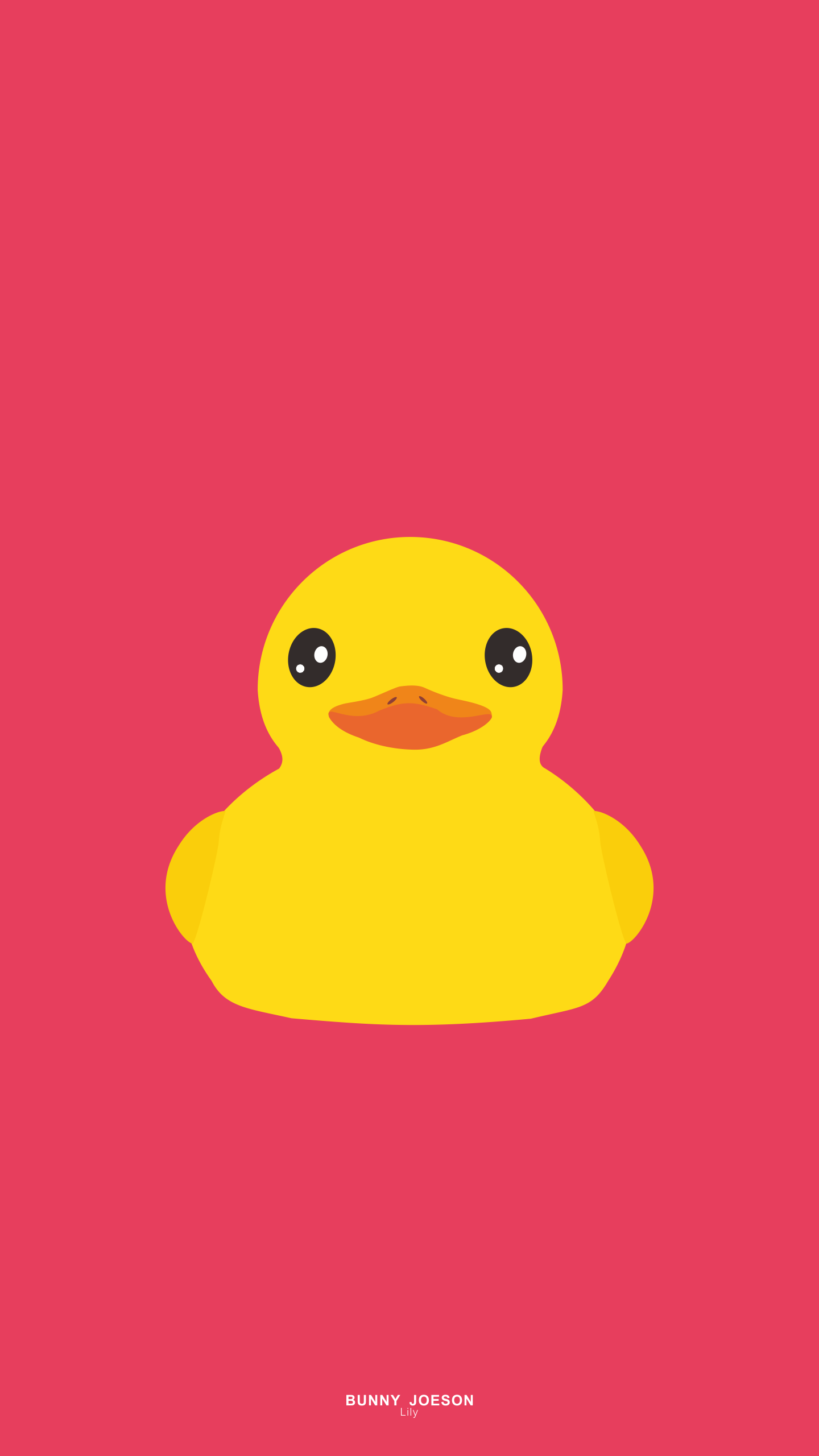 1440x2560   iphone # # phone # # life # # design # # wallpaper # # color # # iOS # # duck # | วอลเปเปอร์ ขำ ๆ สัตว์ วอลเปเปอร์ 
