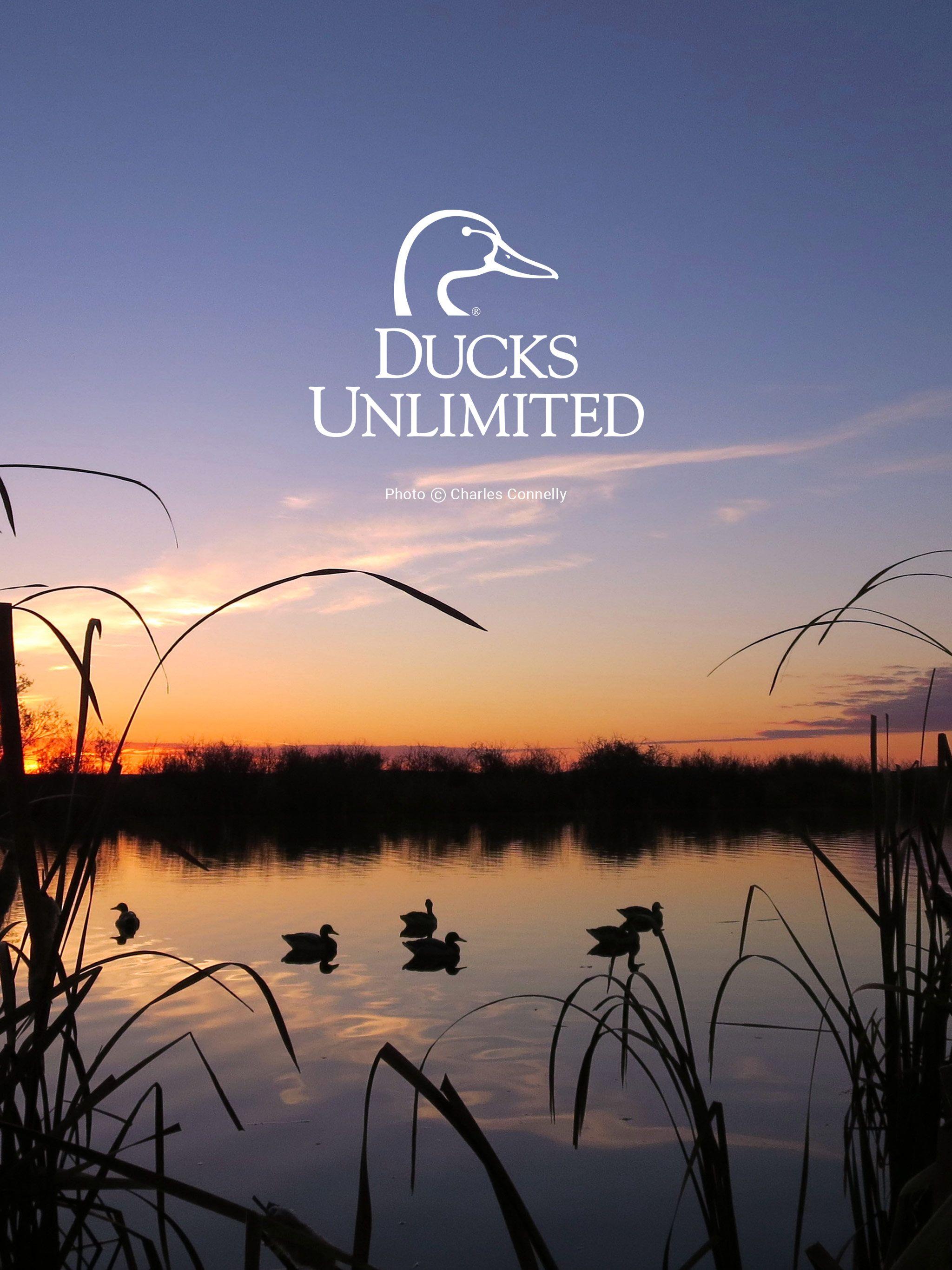 2048x2732  Ducks Unlimited Camo Wallpapers - Обои Cave