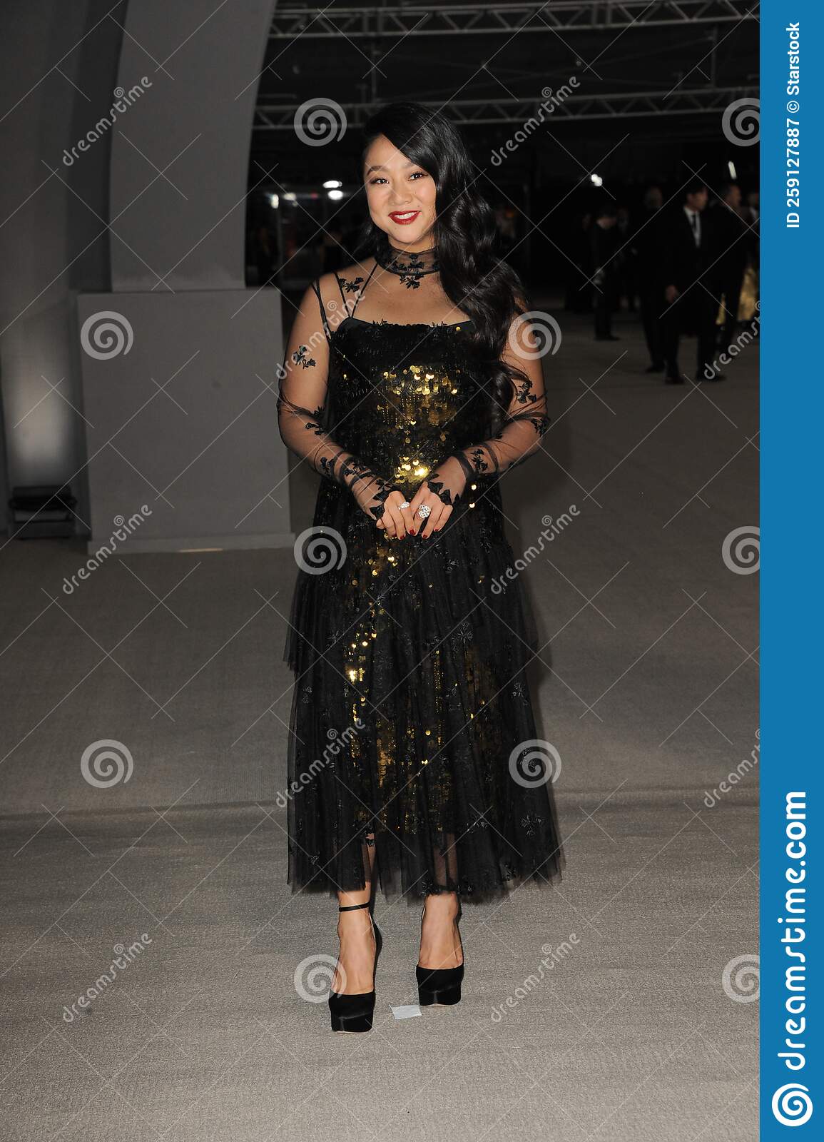 1155x1600  Картина Стефани Хсу