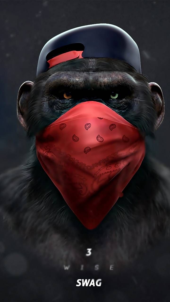 720x1280 Cool Monkey Wallpapers - Лучшие бесплатные крутые фоны с обезьянами - WallpaperAccess