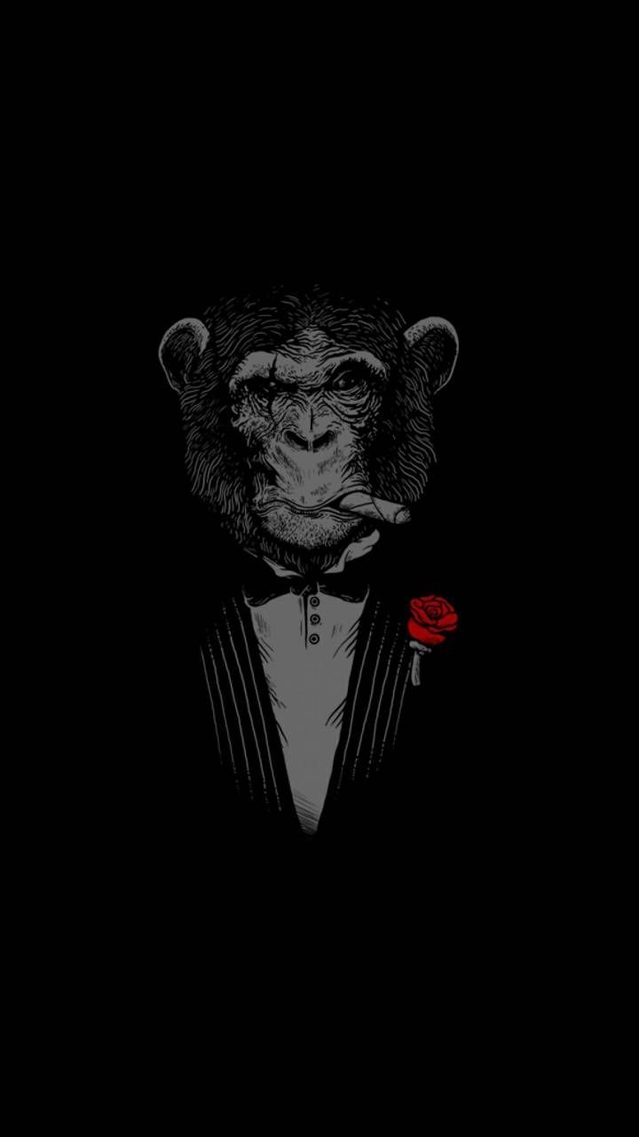 720x1280 Загрузите обои Godfather Monkey 4k от capone6 - b1 - бесплатно на ZEDGE ™ прямо сейчас. Обзор миллио… в 2020 году | Обезьяна обои Темный фон обои Samsung обои android