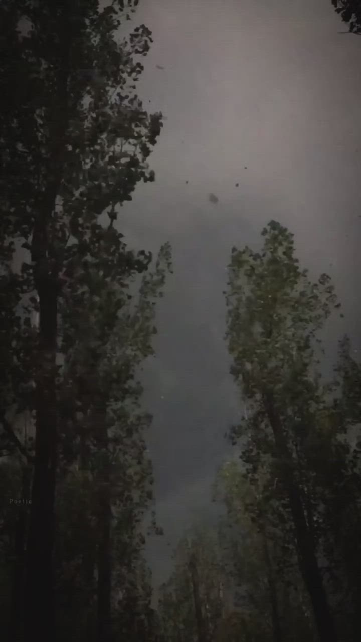 720x1280  Andreй tyrkowskyй kakpoToGraf | Фотографии, хudoжniky, Фотограф