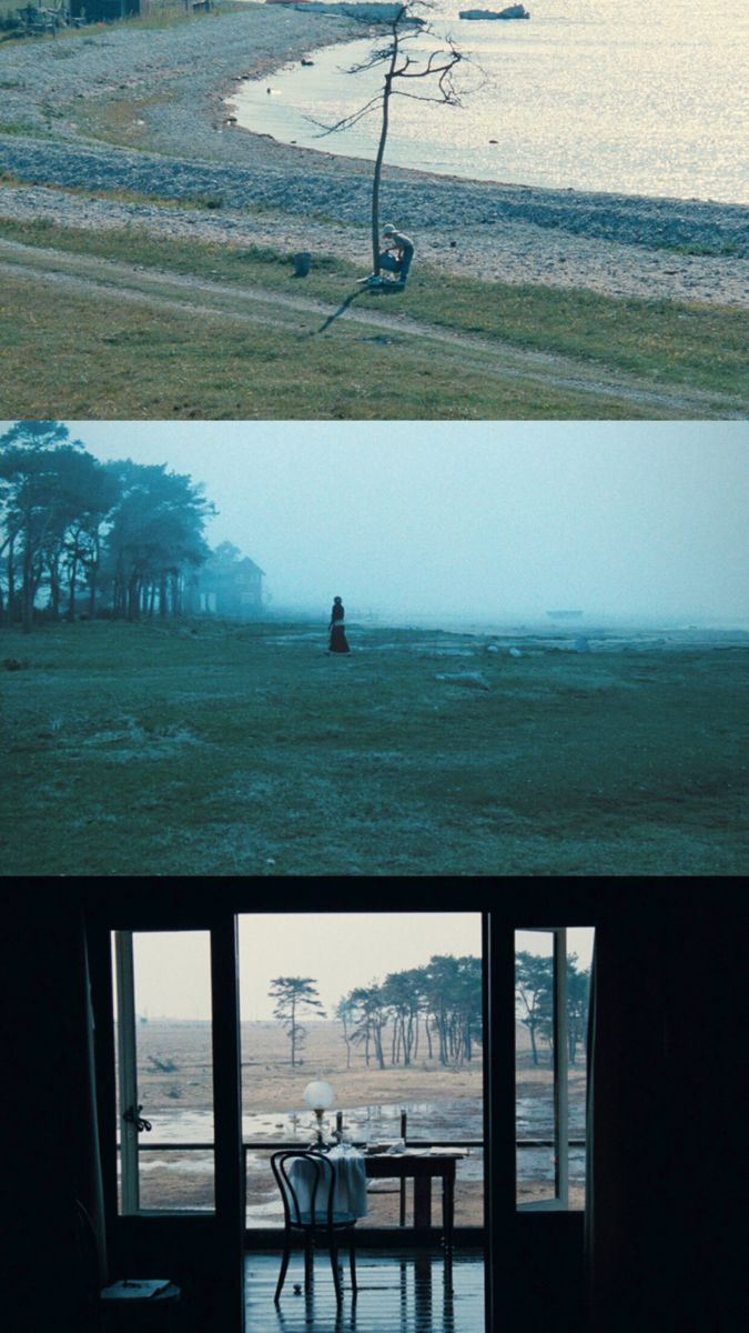 675x1200  Без названия