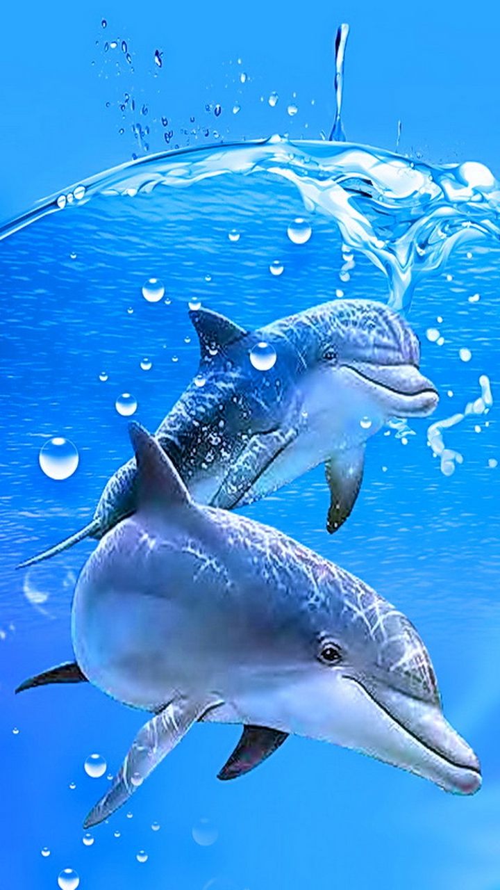 Живые дельфины