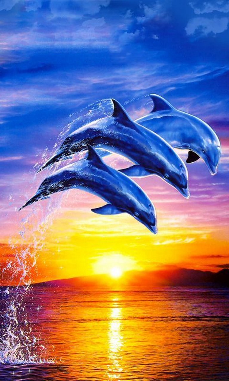Живое море на телефон. Дельфины на закате. Красивые дельфины. Закат на море с дельфинами. Море закат дельфины.